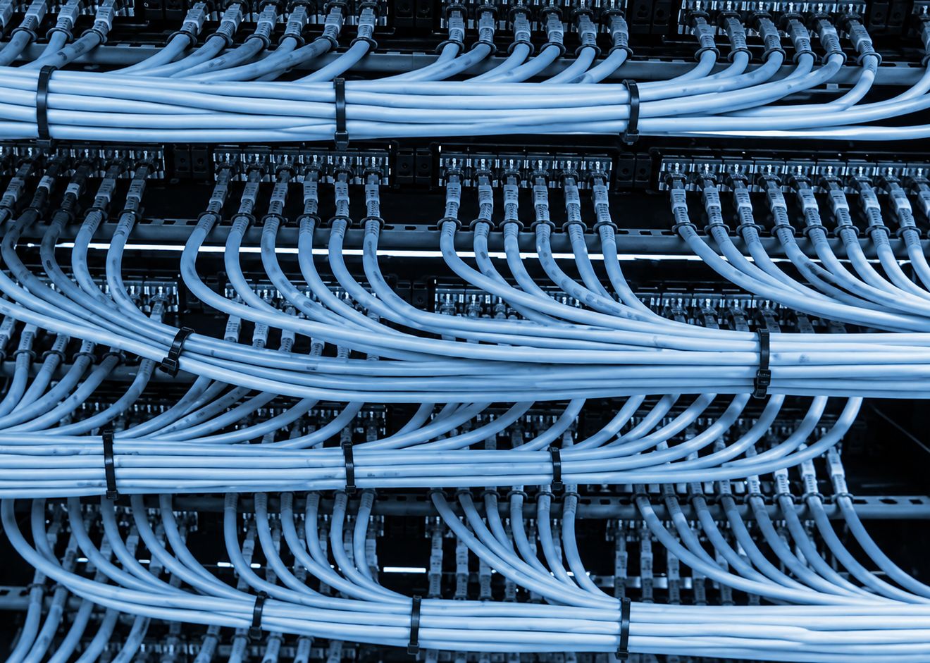 Patch panel con cableado estructurado peinado y certificado